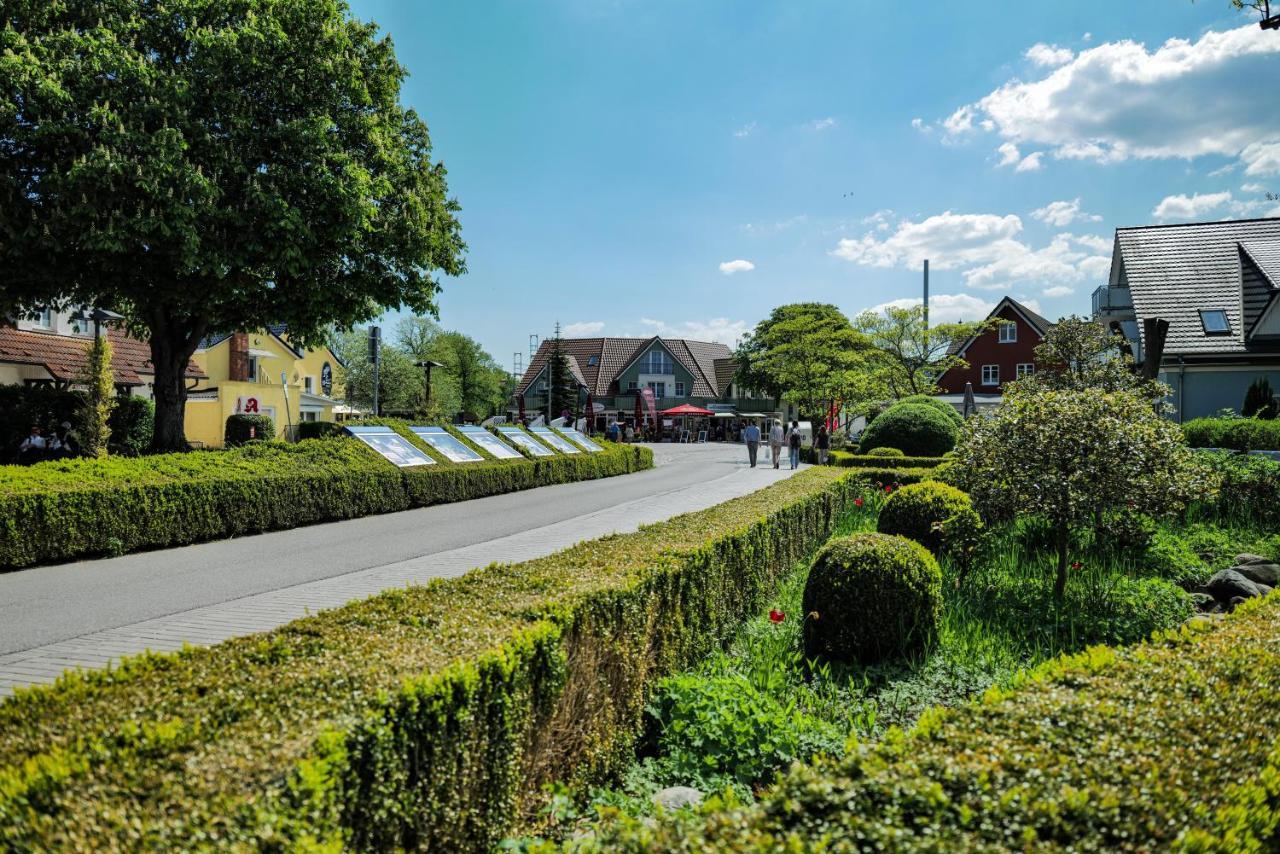 Ferienwohnungen Meerfarbig Zingst - Haustierfrei -Terrasse Mit Strandkorb Oder Balkon - E-Ladesaeule - Parkplatz - Wlan - Fahrradschuppen - Waschtrockner - Ruhig Und Zentral - Nichtraucher 외부 사진