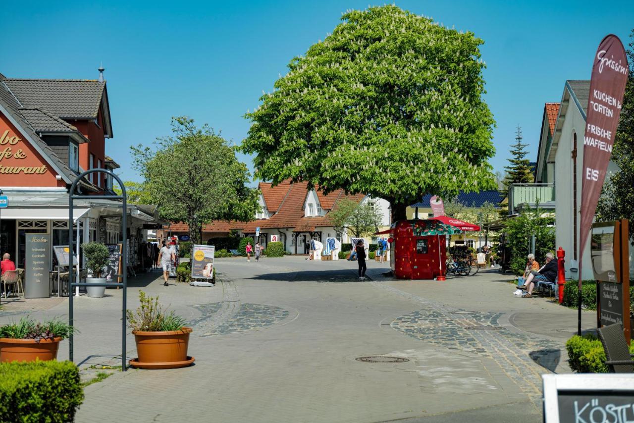 Ferienwohnungen Meerfarbig Zingst - Haustierfrei -Terrasse Mit Strandkorb Oder Balkon - E-Ladesaeule - Parkplatz - Wlan - Fahrradschuppen - Waschtrockner - Ruhig Und Zentral - Nichtraucher 외부 사진