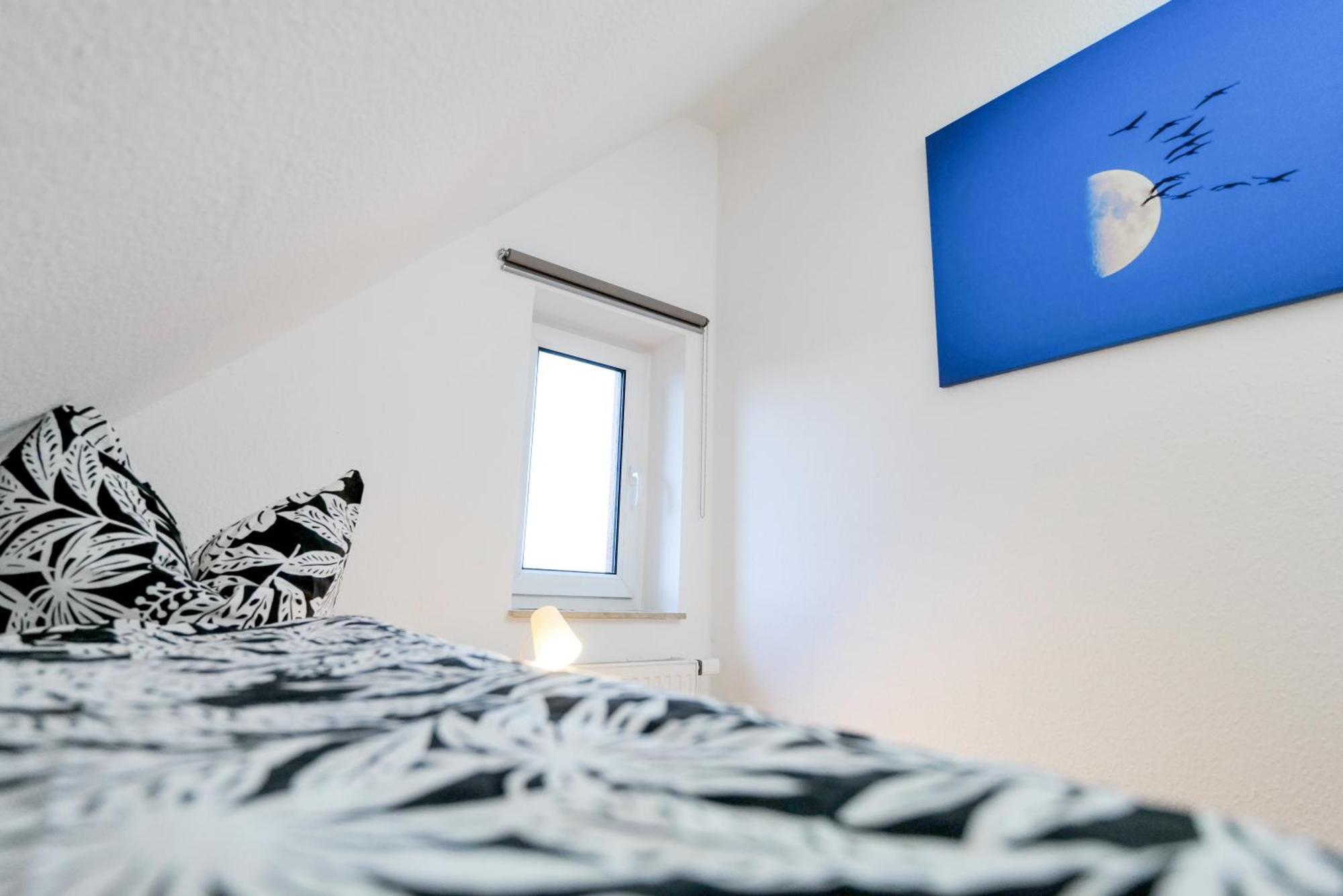 Ferienwohnungen Meerfarbig Zingst - Haustierfrei -Terrasse Mit Strandkorb Oder Balkon - E-Ladesaeule - Parkplatz - Wlan - Fahrradschuppen - Waschtrockner - Ruhig Und Zentral - Nichtraucher 외부 사진